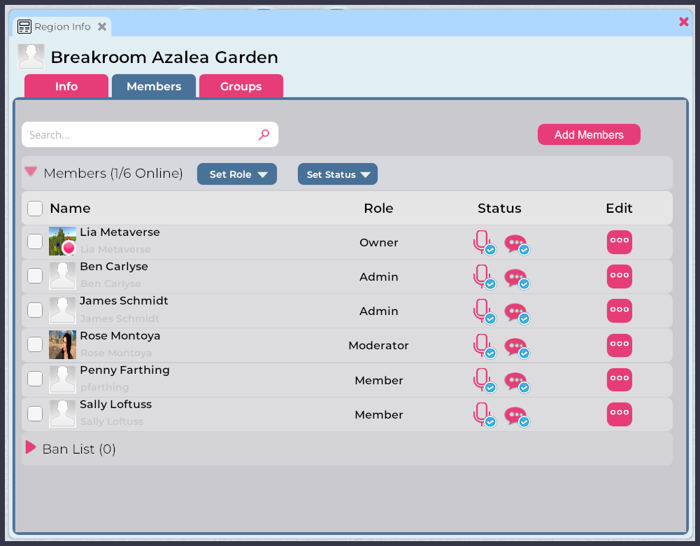 A screenshot of the Region Information window > Members tab, with six members listed.