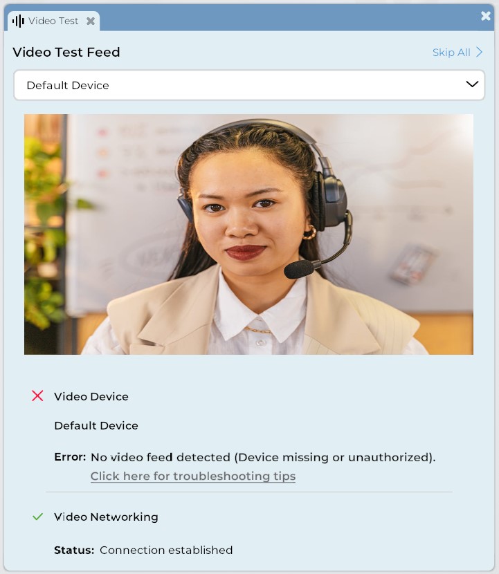 A closeup of the Video Test panel. The UI for this panel is described below.